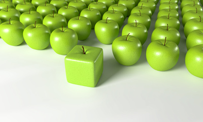 Individualentwicklung